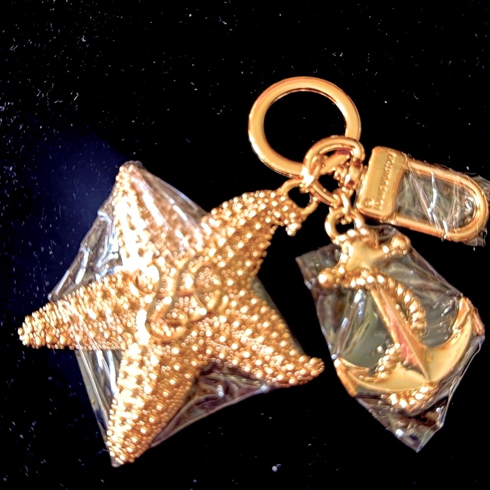 LV bag charm sighed on rings NEW